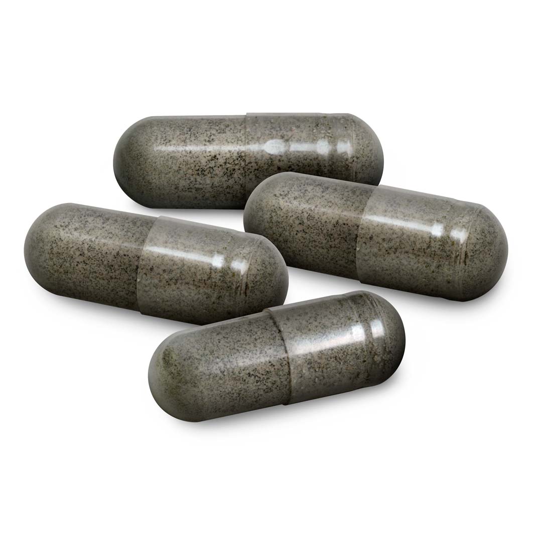 Black Seeds - PLUS (B.O. Seeds in a capsule)