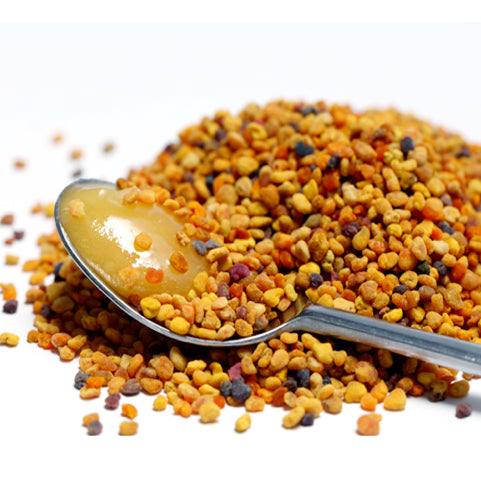 Propolis - Wild harvested raw PropaHeal