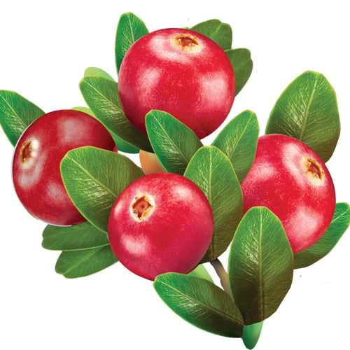 Mouthwash OregaCARE Cranberry - Flouride free
