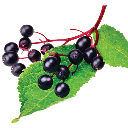 Elder-C capsules