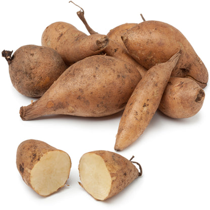 AshwaMilk (Ashwagandha)
